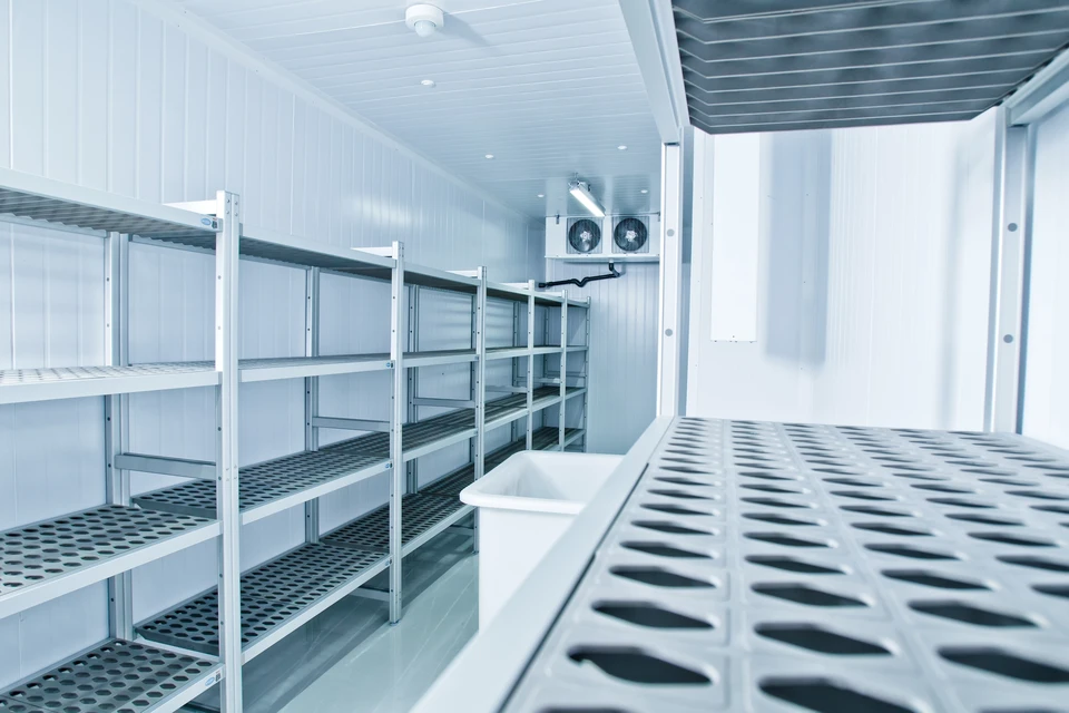 Chambre froide commerciale vide avec rayonnages métalliques à étagères perforées disposés le long des murs